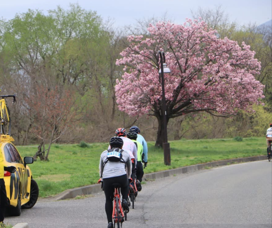【終了しました】【クリスマスキャンペーン】あづみのセンチュリーライドをMAVICアンバサダーと走る『マヴィックプレミアムライド賞』をご紹介！